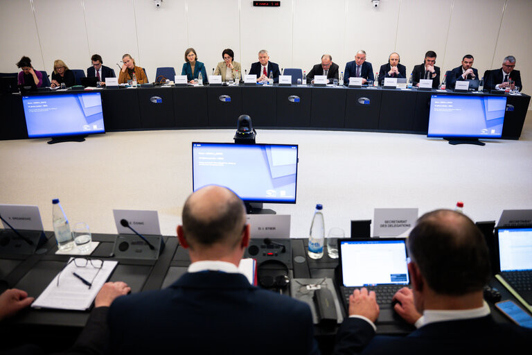 Direktorica DEI na 6. sastanku Parlamentarnog odbora za stabilizaciju i pridruživanje