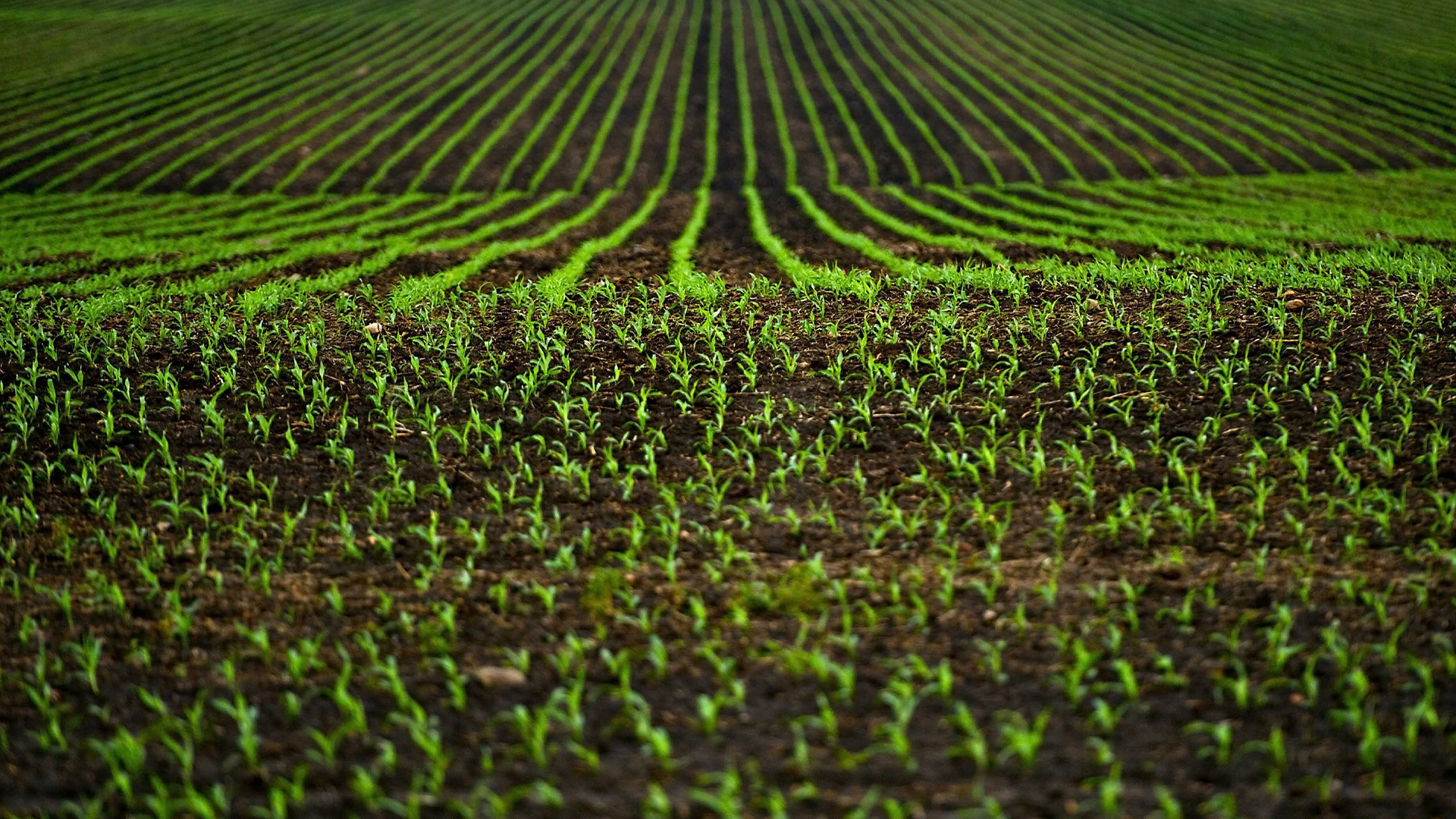AgriConnect: Pametna logistika i dronovi za održivost u poljoprivredi