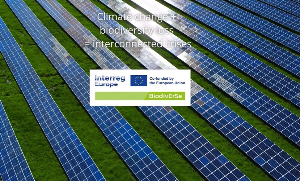 BiodIvErSe - Ubrzavanje razvoja višefunkcionalnih inovativnih fotonaponskih energetskih sistema kroz procjenu sa aspekta biodiverziteta