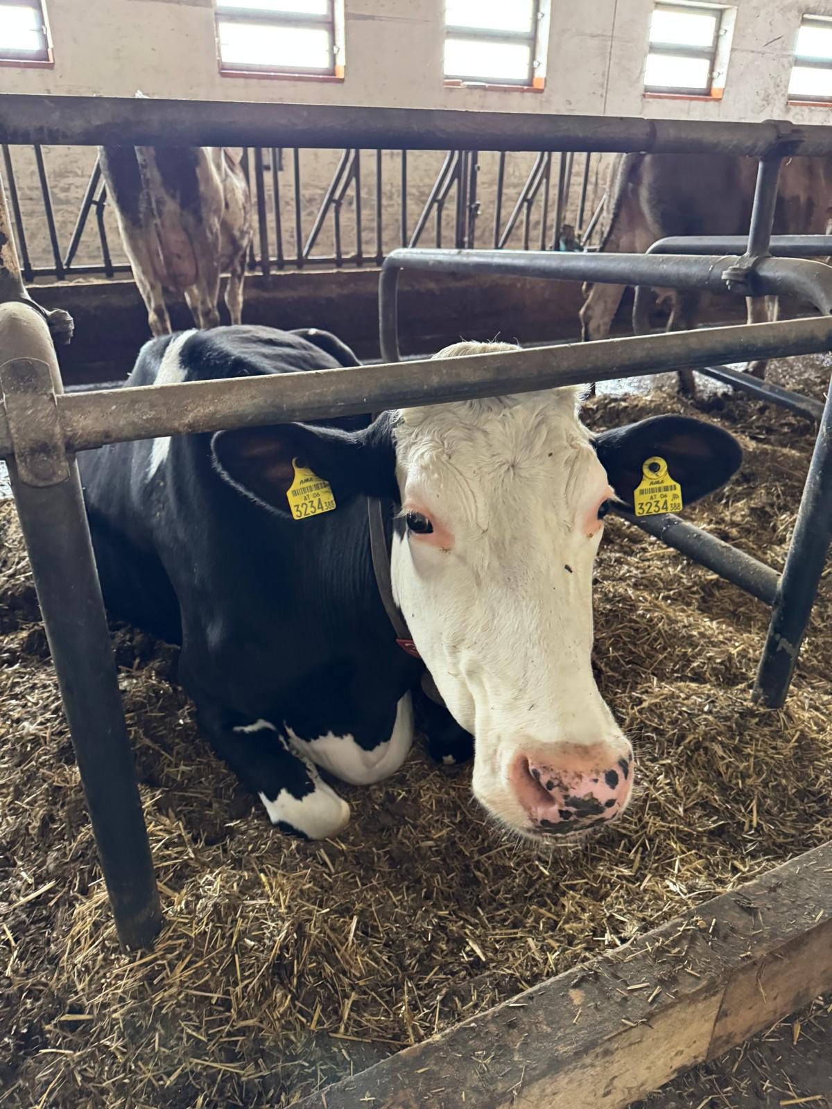 DINAMIC DANUBE - Razvoj inovativnih saveza za upravljanje, inovacije i saradnju u evropskoj bioekonomiji