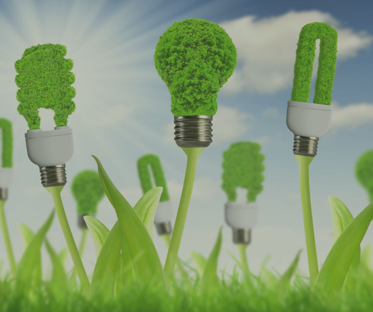 ESINERGY - Osnaživanje ključnih aktera za provođenje Direktive o podsticanju korištenja energije iz obnovljivih izvora u pogledu skladištenja energije i stabilnosti energetskih mreža