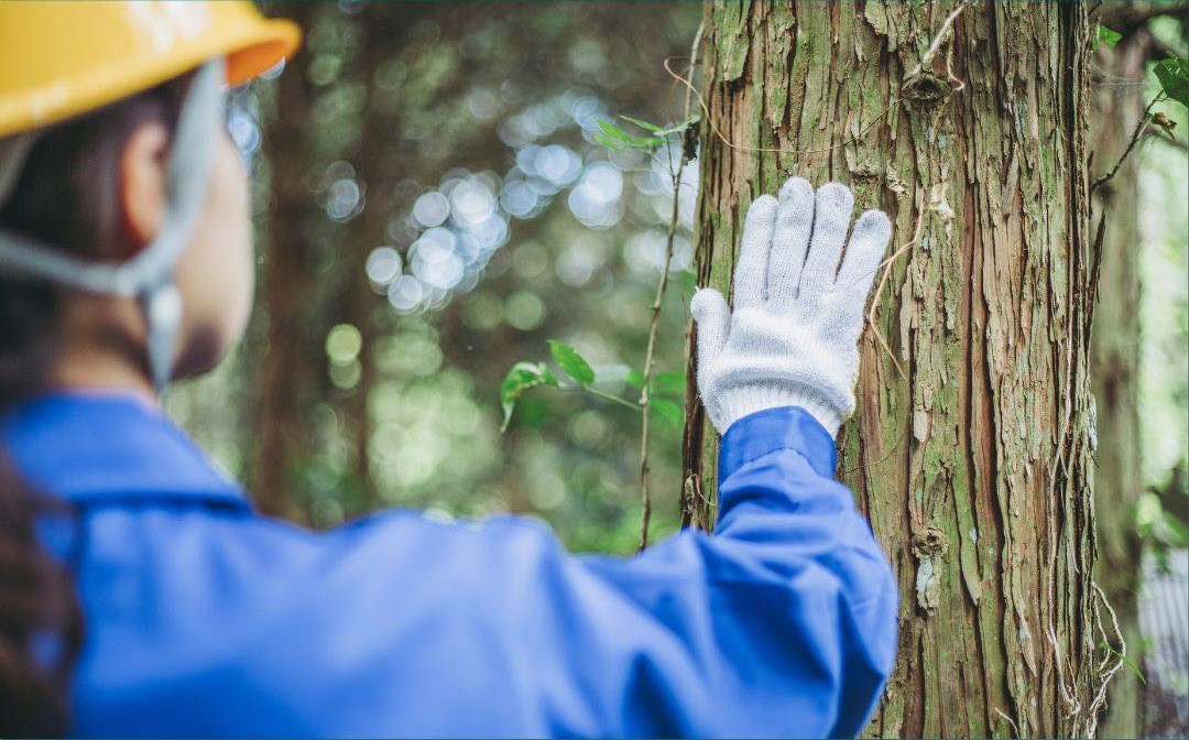 Fem2forests - Inovativni putevi za efikasno uključivanje djevojaka i mladih žena u šumarski sektor