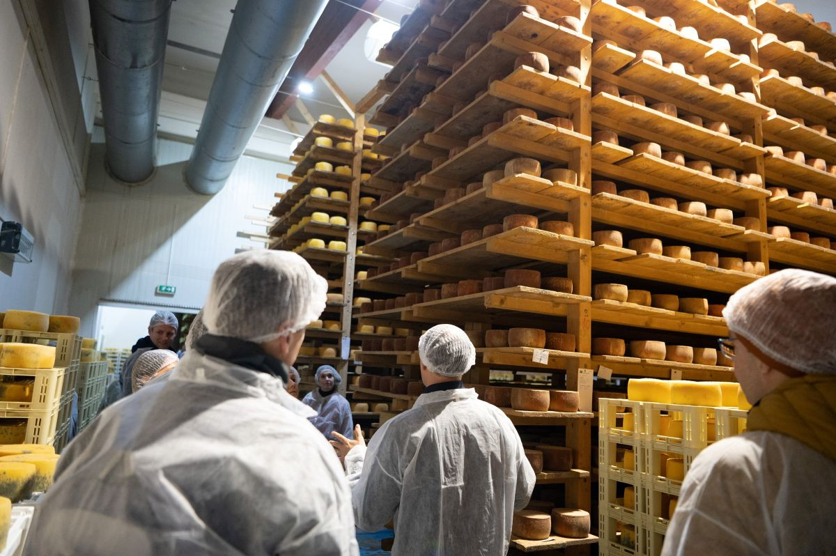 WIN - Poboljšanje položaja žena na tržištima rada perifernih industrijskih regija