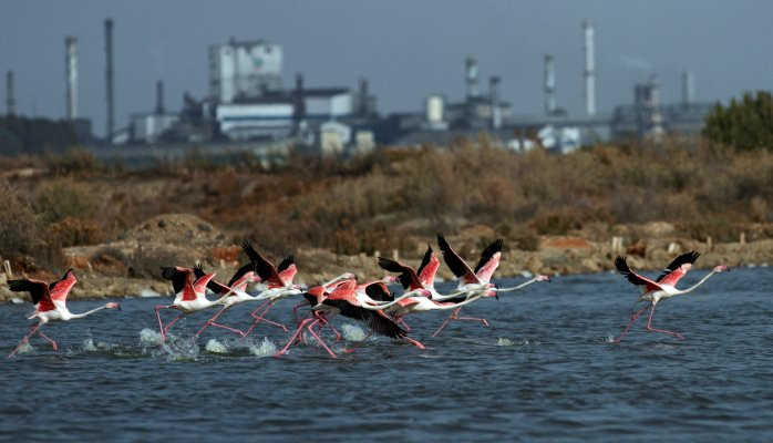 ENLIA - Okolišna odgovornost