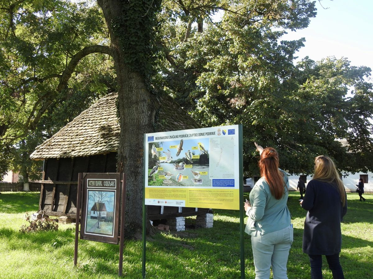 Eko turizam u prekograničnom području Srbije - BiH – Posmatranje ptica preko granice 3