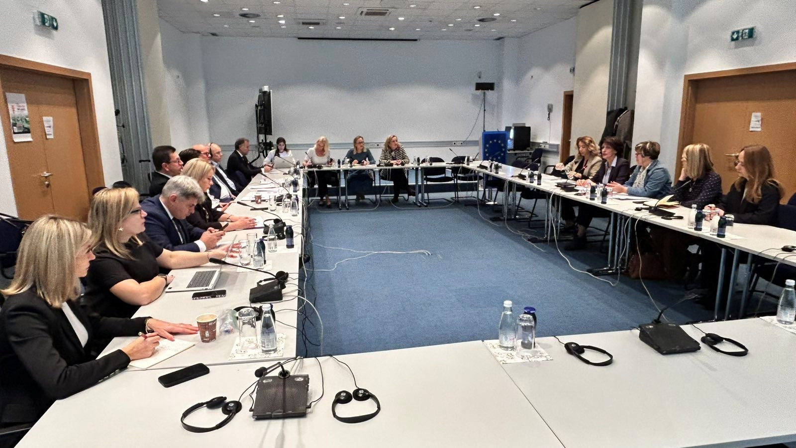 Direktorica Habota razgovarala s članovima delegacije Odbora za ustavna pitanja Evropskog parlamenta