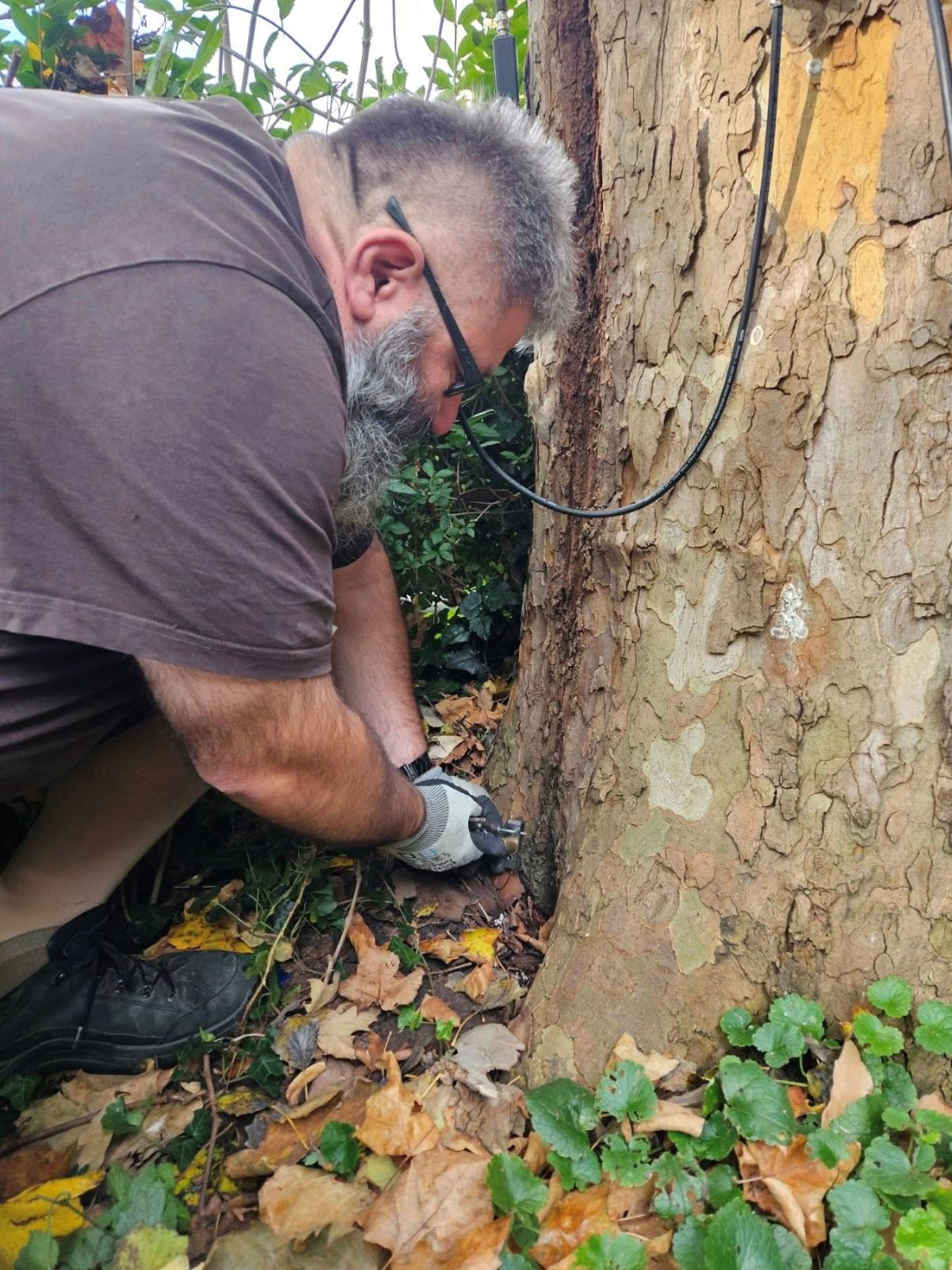 SpongeCity - Poboljšanje kapaciteta urbane prilagodbe klimatskim promjenama testiranjem i unapređenjem metodologije „grada-sunđera“ na transnacionalnom nivou